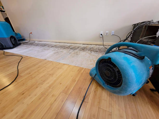 Professional Water Damage Repair technician working in Versailles, OH